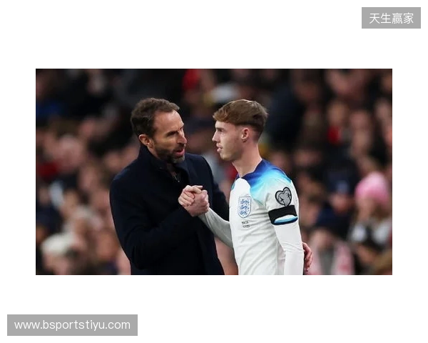 图赫尔谈10号位：一阶段考察帕尔默&福登；二阶段贝林&罗杰斯